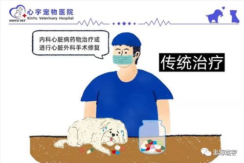 狗心脏病能活多久