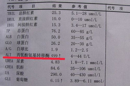 狗狗转氨酶高如何调理
