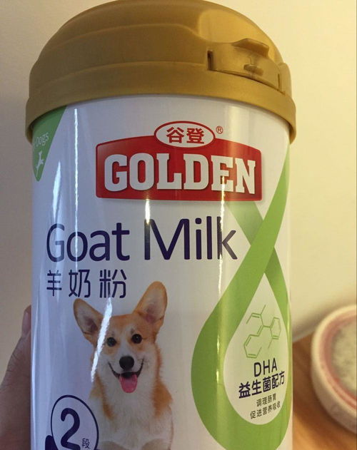 幼犬羊奶哪个