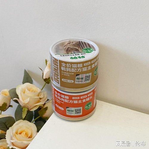 多久喂一次猫罐头
