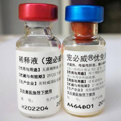幼犬疫苗后多久驱虫药
