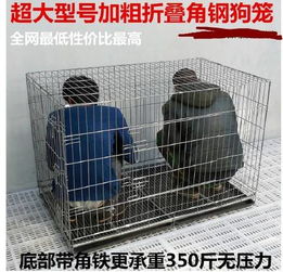 狗笼子哪里有卖