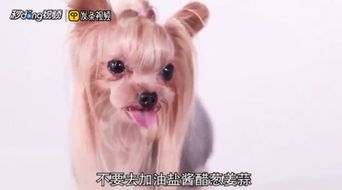 如何自制阿拉狗粮