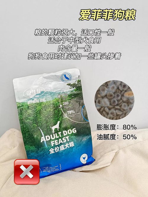 菲菲的狗粮在哪里