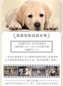 跟狗相关的电影有哪些
