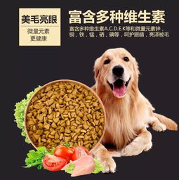 如何辨别狗粮质量