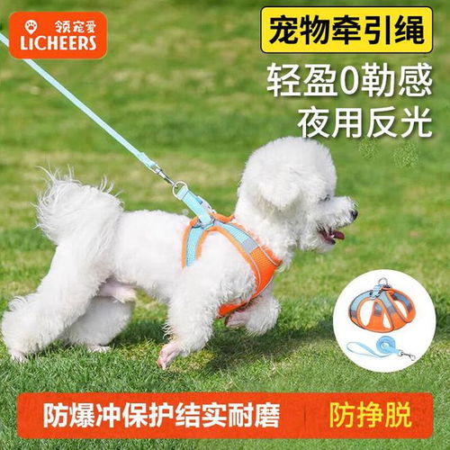 狗绳如何选择