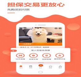 买狗到哪个平台