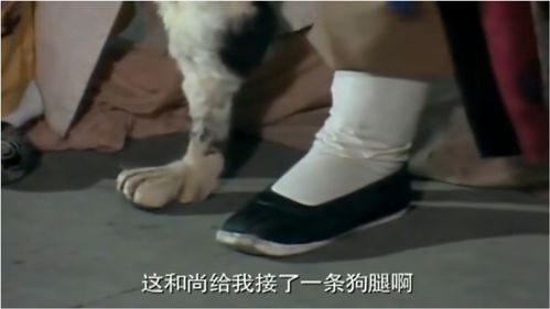 狗腿瘸了多久恢复