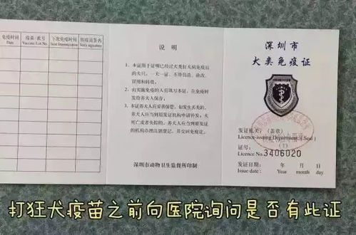 深圳办狗证在哪里办