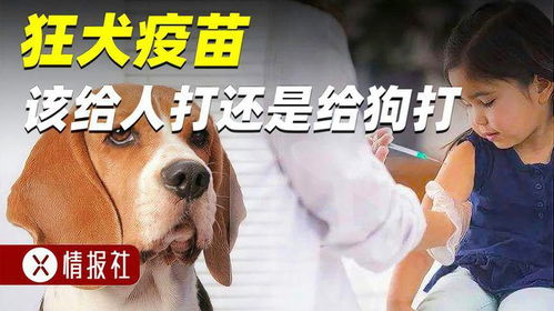天津哪里给狗打疫苗