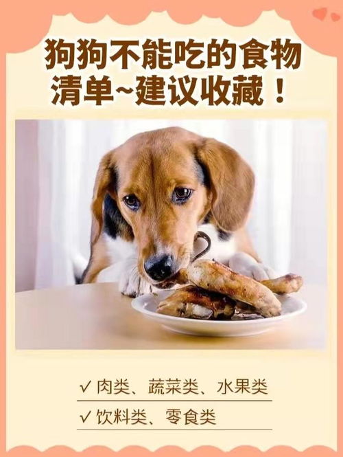 小狗有哪些食物不能吃