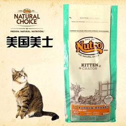 猫粮去哪里买比较好