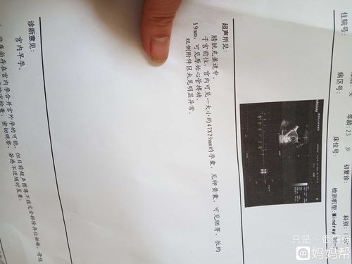 母狗多久能看出怀孕吗