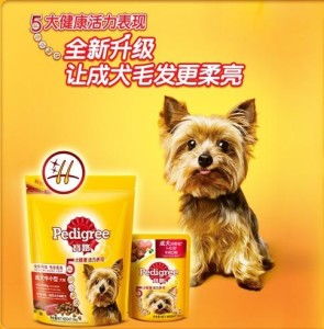 宝路的小狗狗粮怎么样