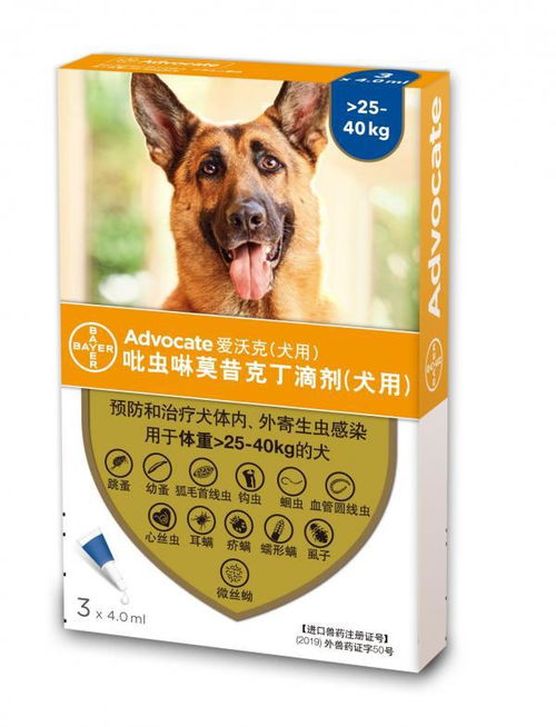 狗的驱虫药多久吃一次