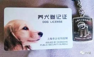 狗狗没有狗证会怎么样