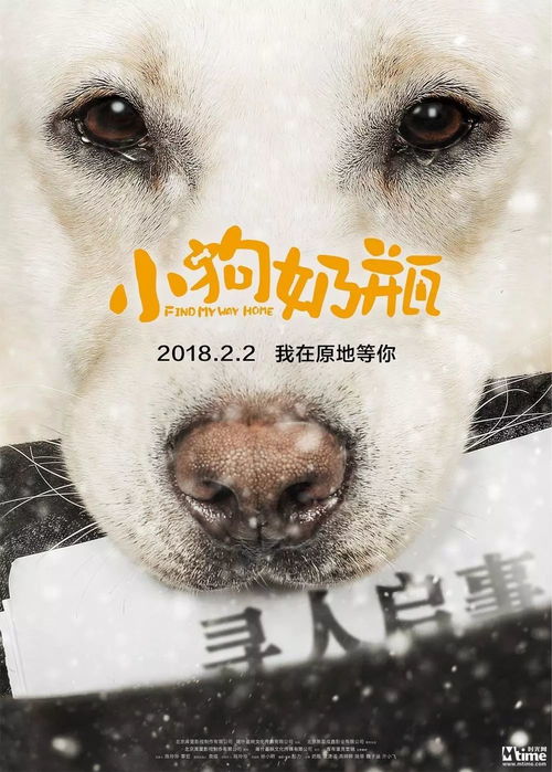 如何自制狗狗奶瓶
