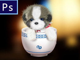 如何画茶杯犬