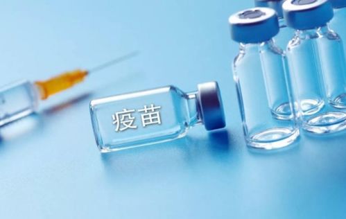 狗疫苗如何储存