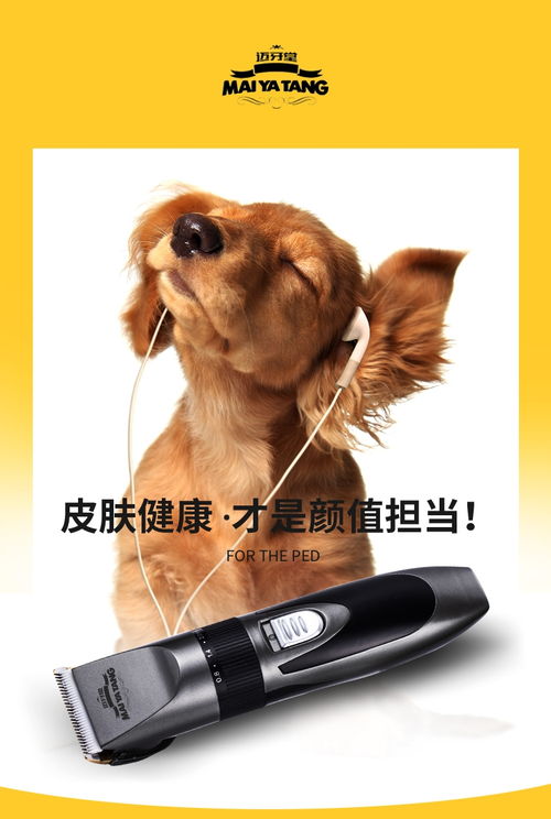 狗美容工具有哪些