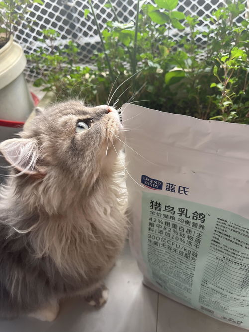 蓝氏猫粮和皇家哪个好