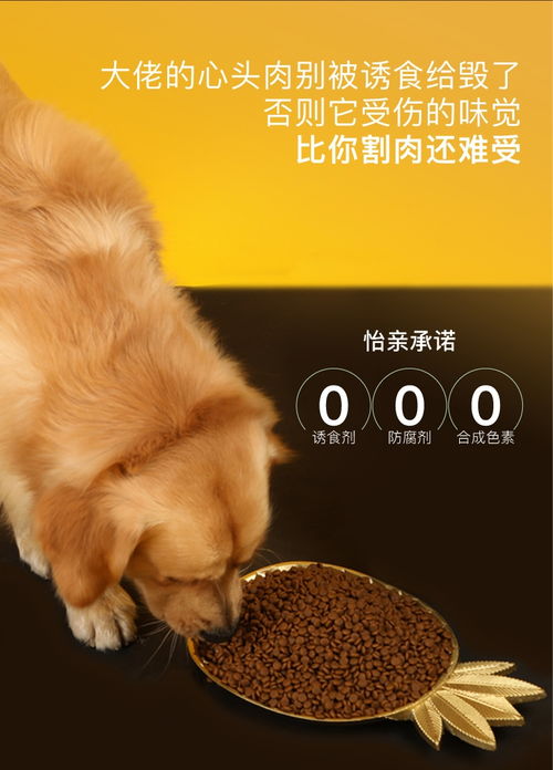 怡亲的泰迪狗粮怎么样