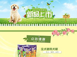 朗诺狗粮怎么样
