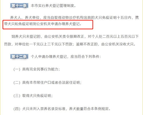 哪里办理狗证