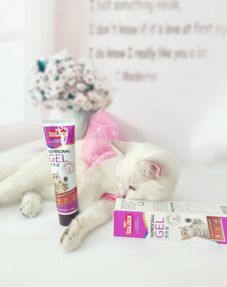 哪个牌子的猫营养膏好