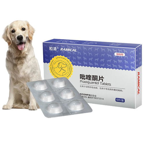 狗体内驱虫的药有哪些