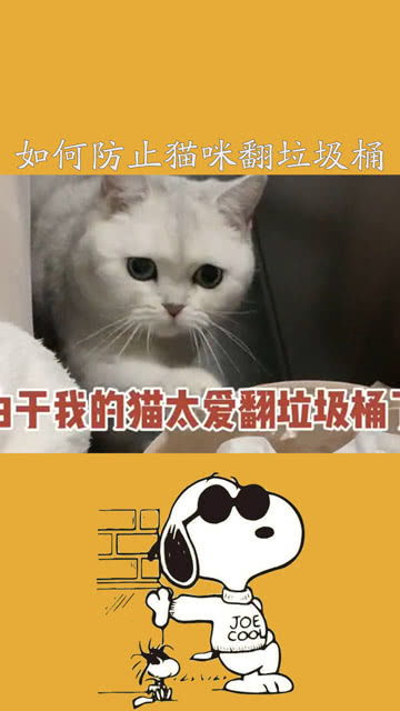 如何让猫不翻垃圾桶