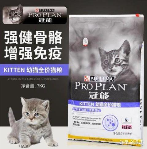 小猫多久会自己吃