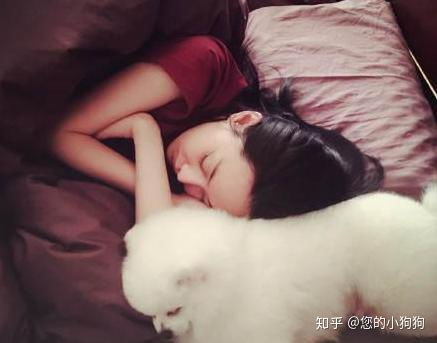 狗狗小正常睡觉多久