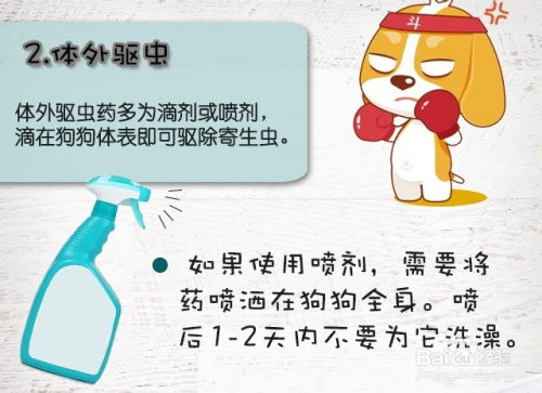 如何给小狗体外驱虫药