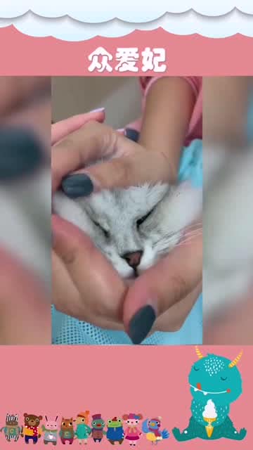 小猫吃药间隔多久