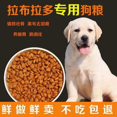 狗天然粮哪些好