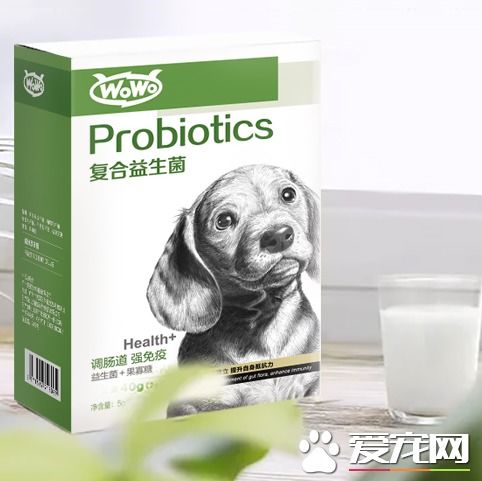 狗狗吃益生菌哪些牌子