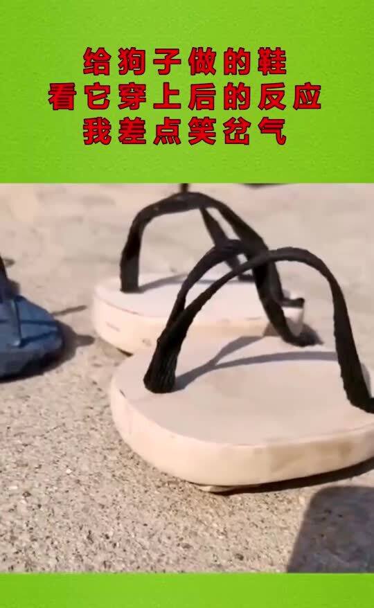 如何给小狗做鞋子