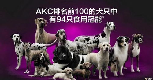 宠优冠能狗粮怎么样