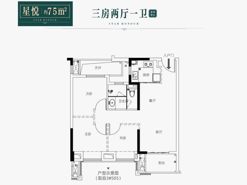 西安哪里买幼猫好