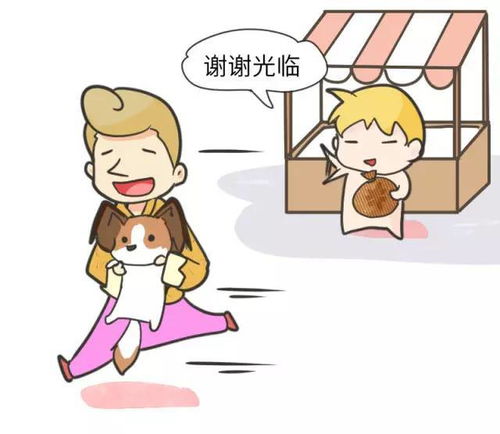 蝴蝶犬脾气怎么样