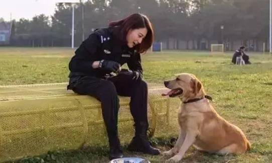 护主的狗有哪些