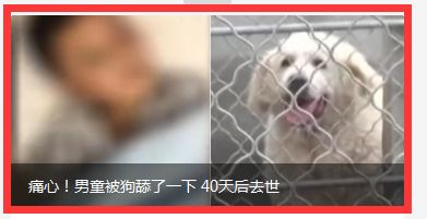 狗狗如何传播狂犬病