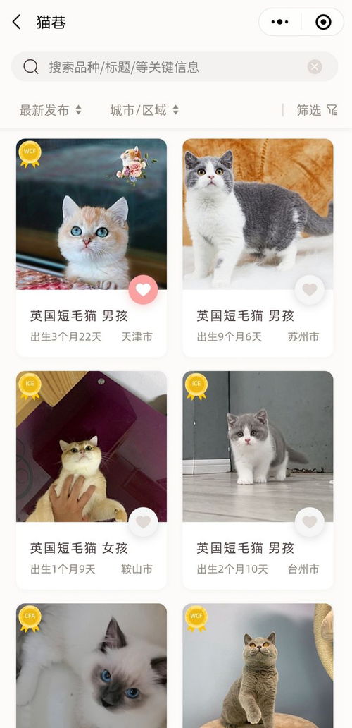 猫猫打疫苗管多久