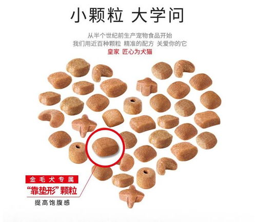 冠能狗粮和皇家狗粮哪个好