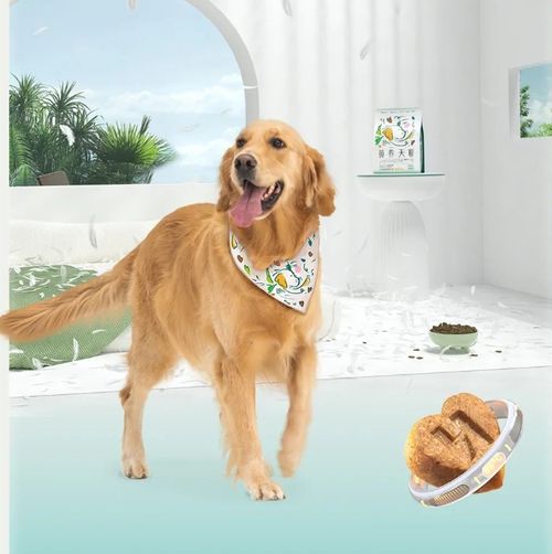 老年犬狗粮有哪些