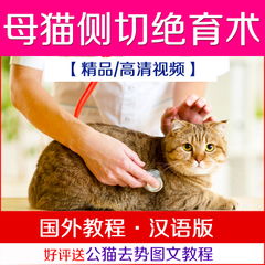 母猫绝育术后多久排尿