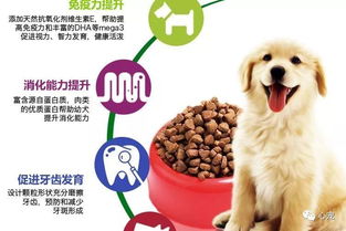 心宠狗粮怎么样